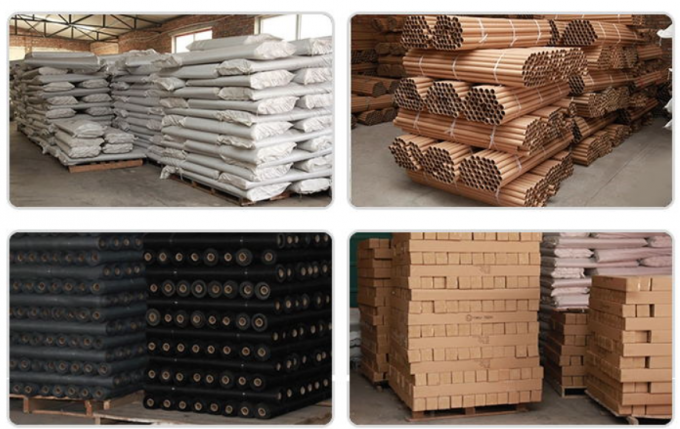 écran évident Mesh Rolls de mouche de fil de moustiquaire de fibre de verre de 2.4m 2