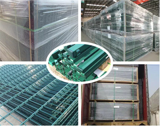 Les sports ont rectifié la sécurité 868/656 de Mesh Fence Wrought Iron High de fil enduite par PVC 3