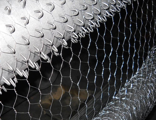 Trou hexagonal galvanisé plongé chaud de la mesure 25mm de Mesh Fence 22 de poulet 2