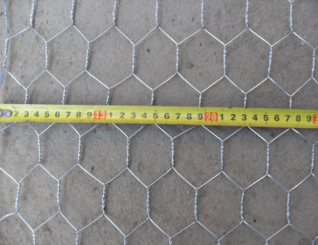 Trou hexagonal galvanisé plongé chaud de la mesure 25mm de Mesh Fence 22 de poulet 0