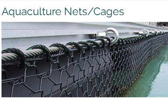 OEM hexagonal de polyester de fabrication de fil de Gabion de torsion de 50mm* 60mm 3