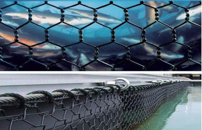3×4cm 5x6cm Gabion Mesh Basket Polyester Kikko Net pour l'élevage hauturier de poissons 1