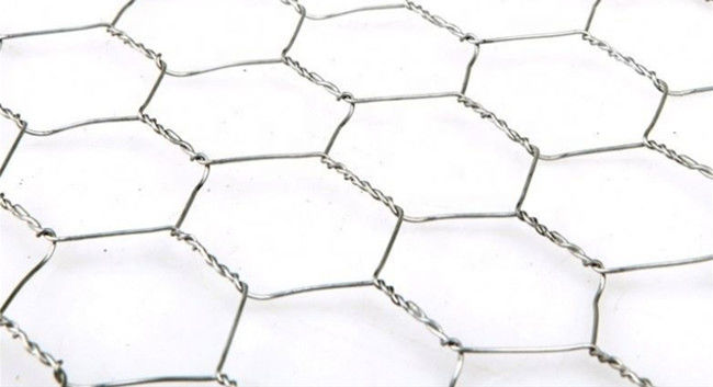 Largeur hexagonale de Mesh Fence Q195 0.5m de poulet de HDG pour la volaille 0