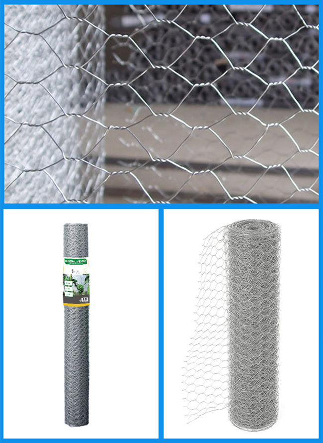 fil de poulet hexagonal de trou de pouce de 0.7mm 1/2 Mesh Rolls pour la cage de lapin 0