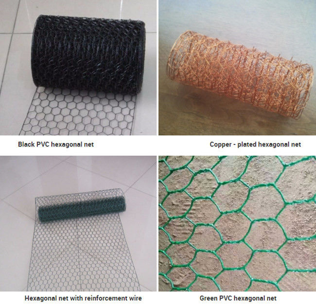 glissement de fabrication de fil de sortilège de Mesh Fence SS304 de poulet de 2.54cm anti 1
