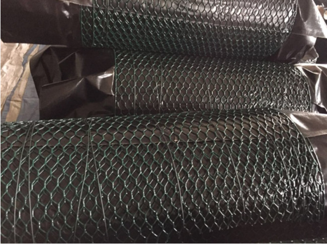 Poulet Mesh Fence Hexagonal AISI EN10223 de l'acier inoxydable 304 3
