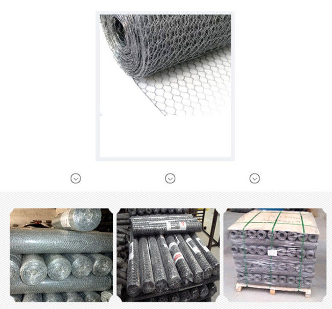 Fil de poulet de l'argent 100ft de BWG 24 Mesh Fence Electro Galvanized Hexagonal 2