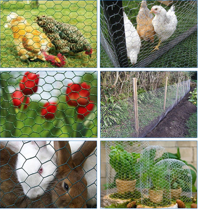 haut fil de poulet galvanisé par 0.42mm de 1.2m Mesh Fence For Rabbits Cage 1