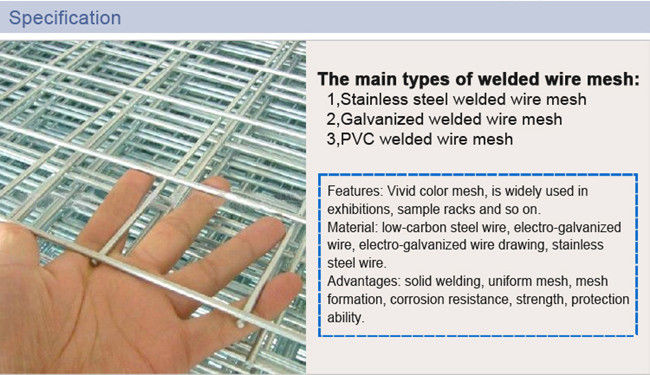 1x2 a soudé Mesh Rolls galvanisé par 6mm BWG 14 15 preuve de rouille de 16 mesures 0